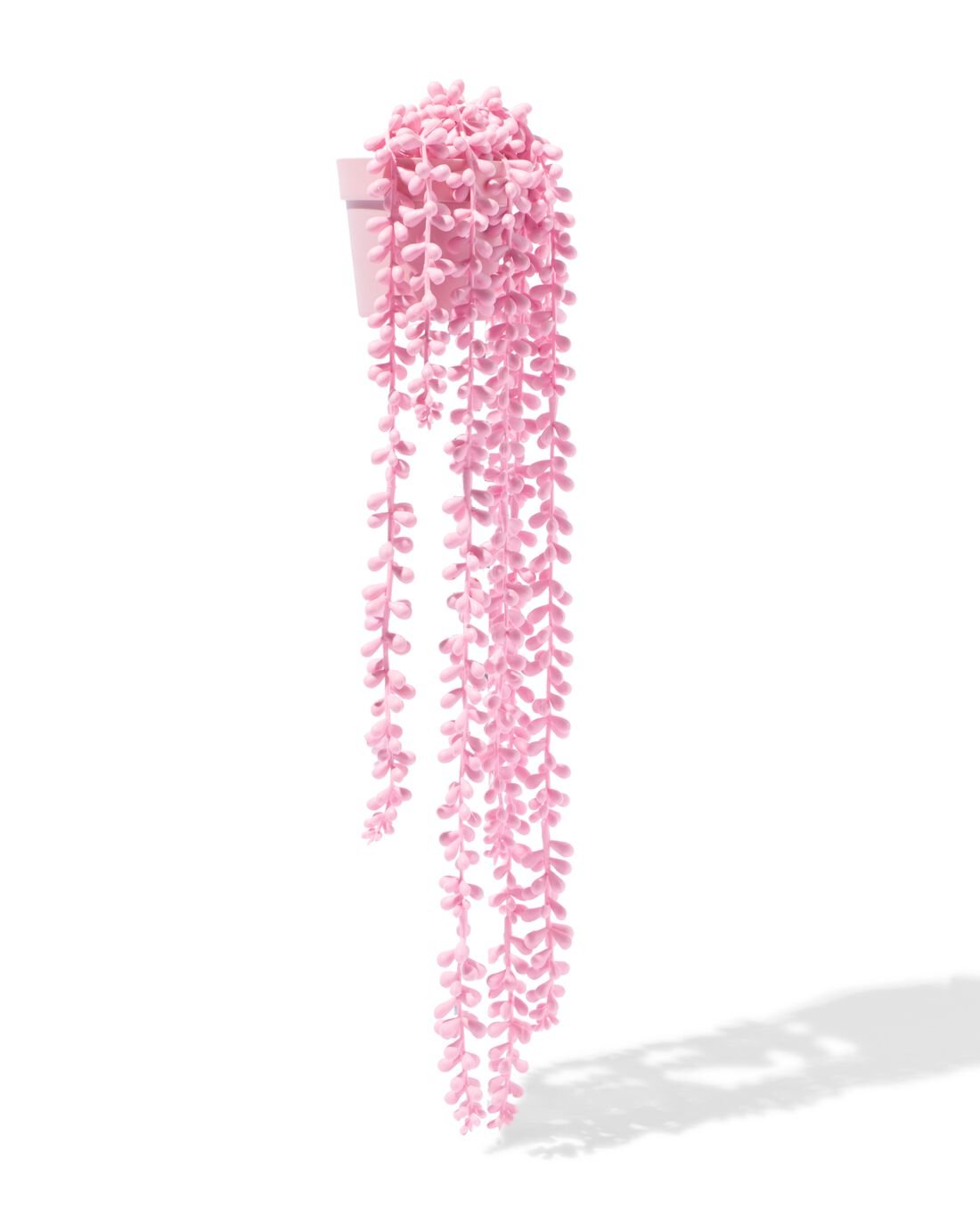 HEMA Kunst Erwtenplant Roze (roze)