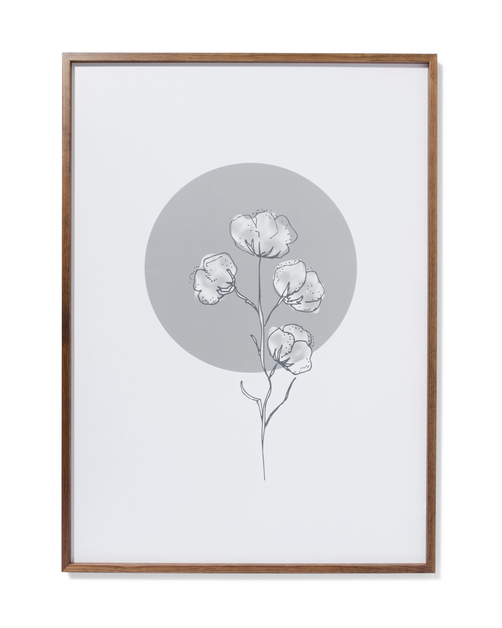 HEMA Fotolijst 50x70cm Massief Hout Notenkleur (hout)