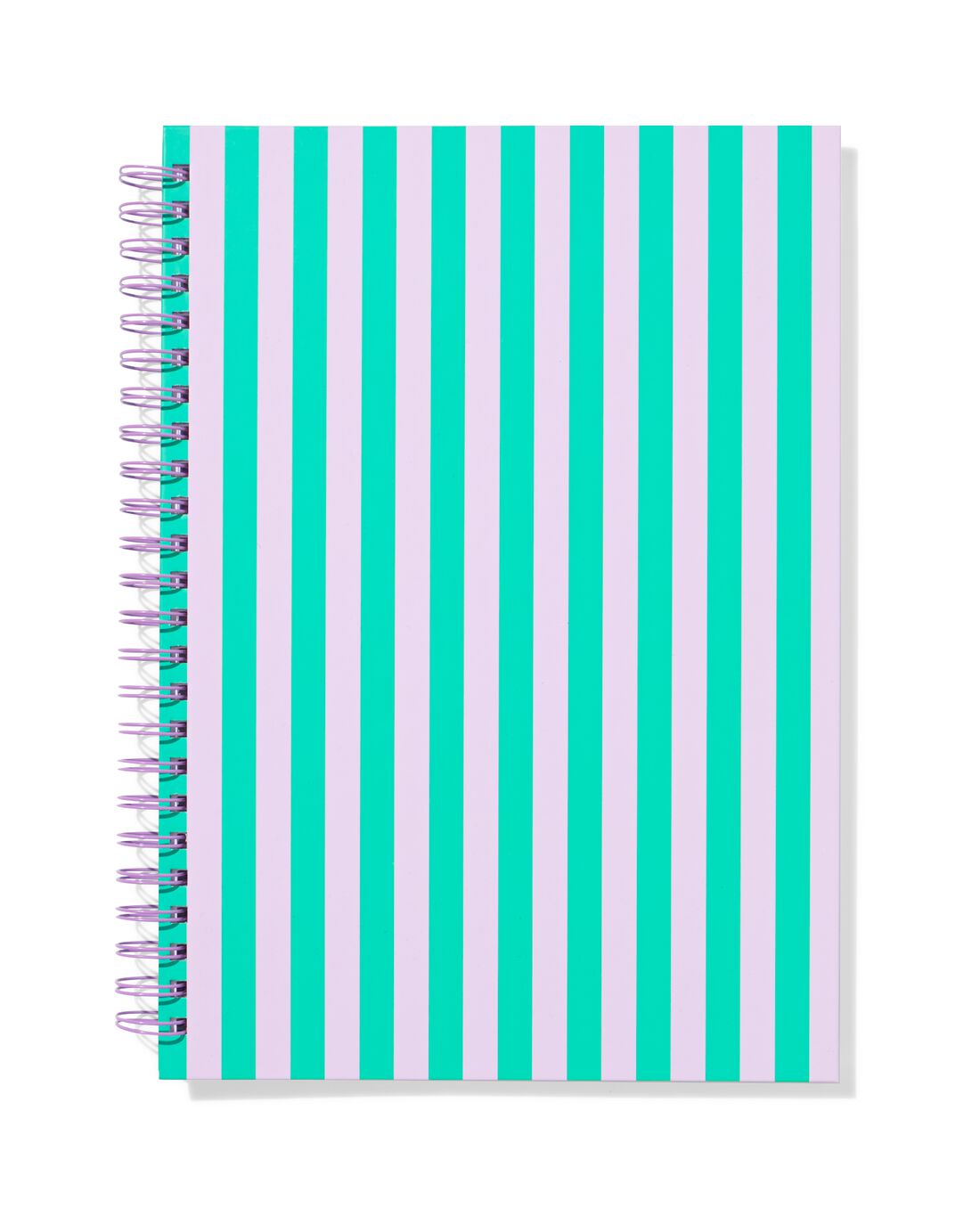 HEMA Hobbyplakboek A4 Strepen