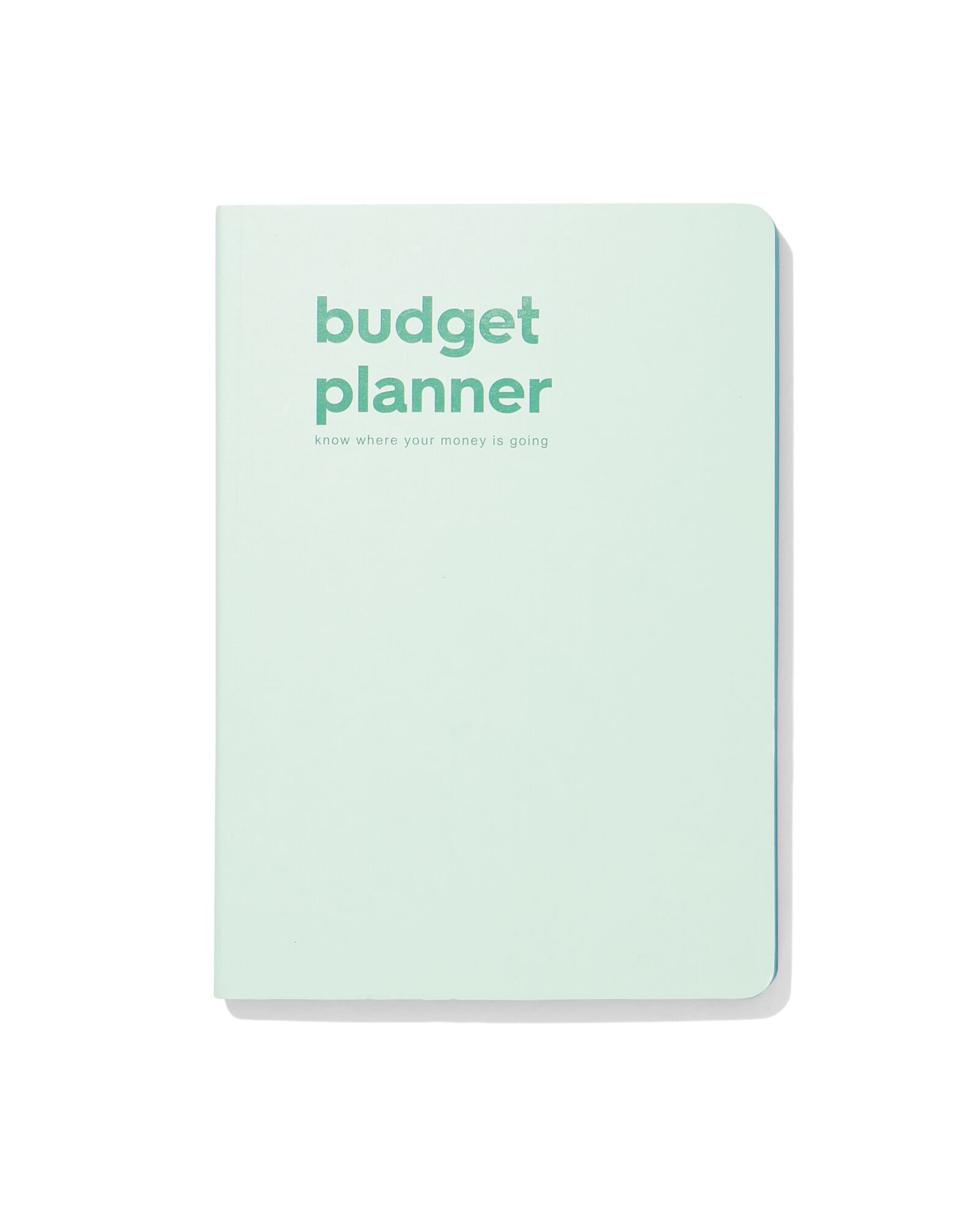 HEMA Budgetplanner Voor 12 Maanden 21x15