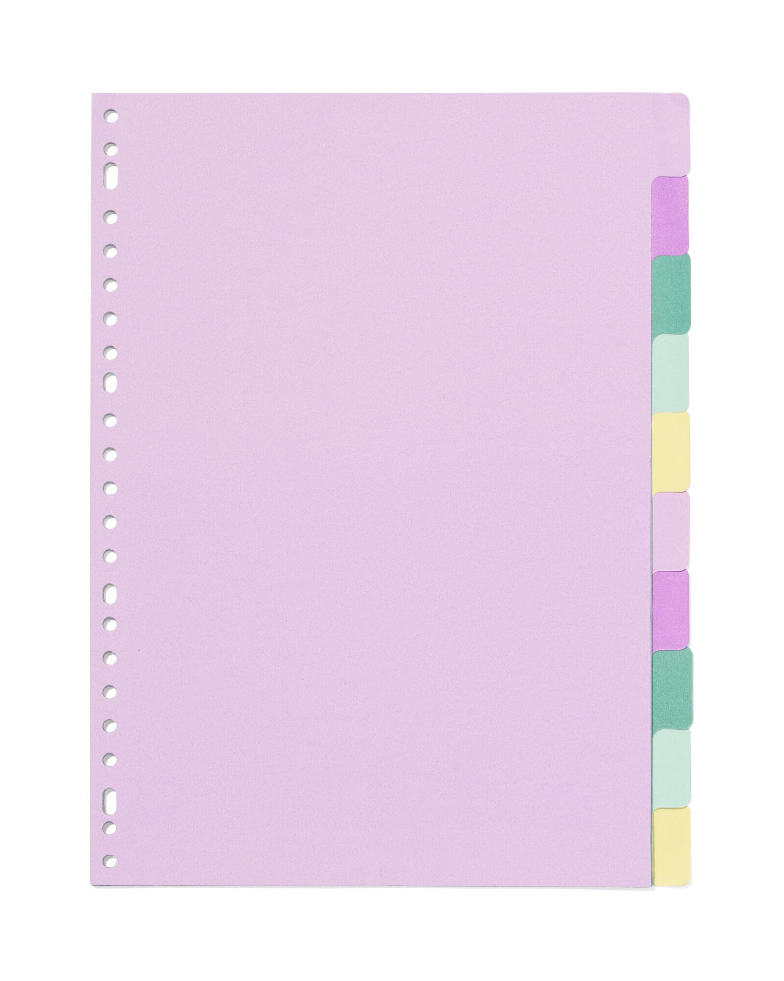 HEMA Tabbladen Karton - 10 Stuks