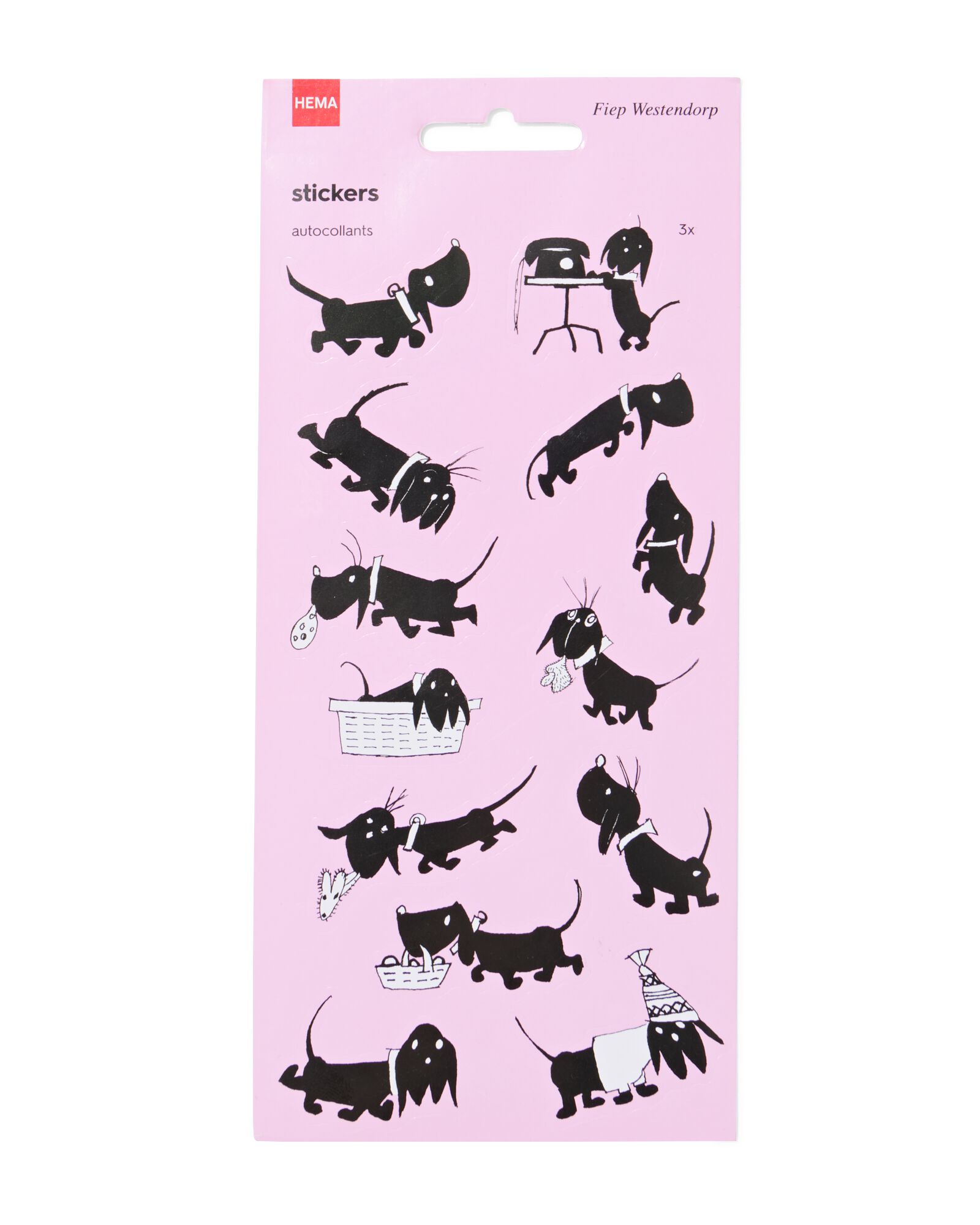HEMA HEMA Takkie Stickervellen 19x10 - 3 Stuks