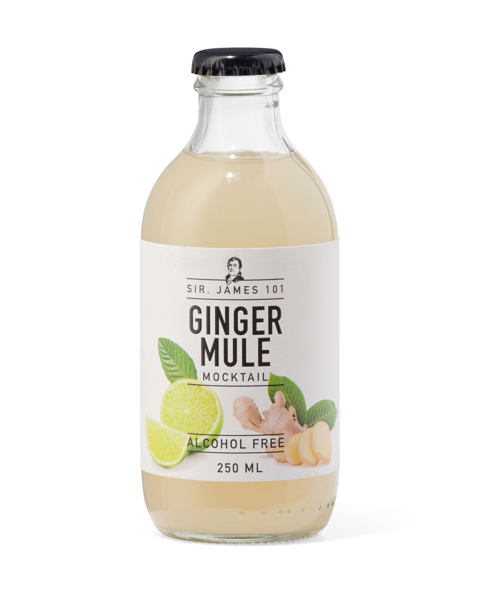 HEMA Alcoholvrije Ginger Mule 250ml