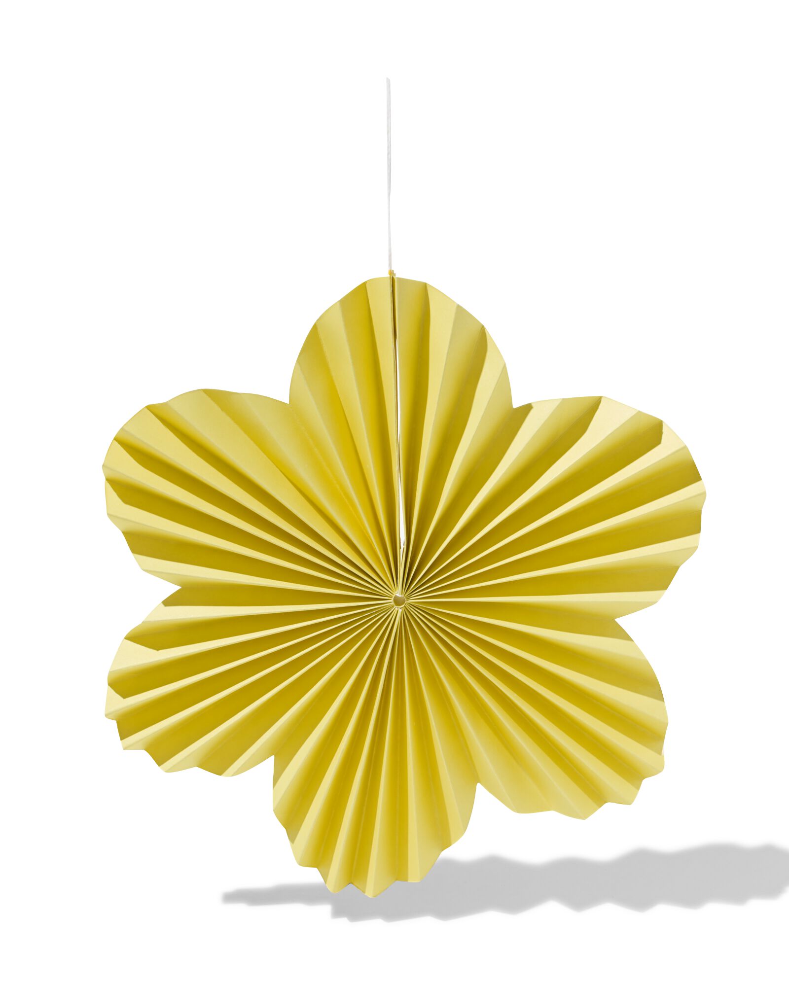 HEMA Honeycomb 30cm Bloem
