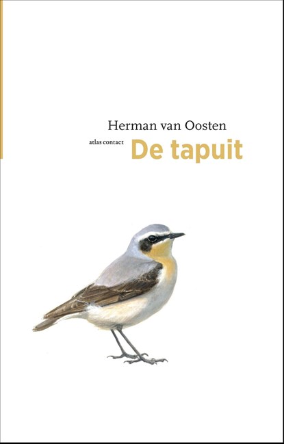 De tapuit
