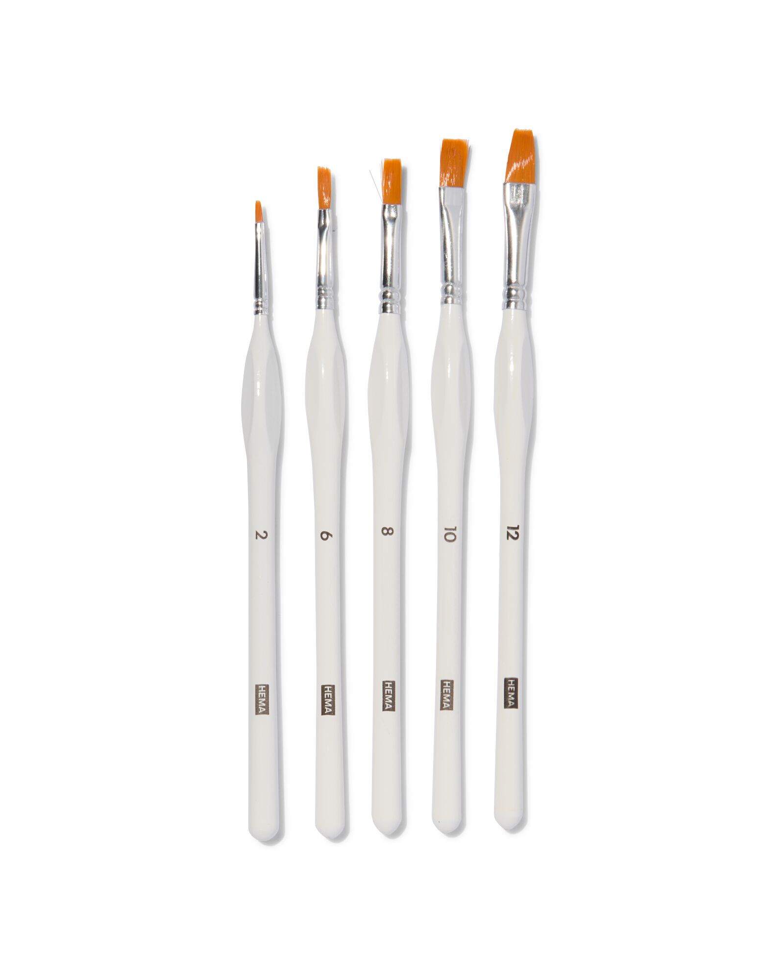 HEMA Schilderpenselen Met Platte Punt - 5 Stuks