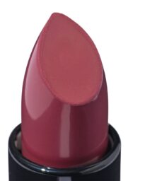 HEMA Moisturising Lipstick 13 Classy Wednesday - Creamy Finish (donkerrood)