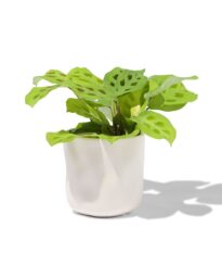 HEMA Bloempot Ø11.7x11.5cm Keramiek Wit (wit)