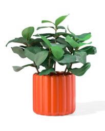 HEMA Bloempot 14x12x13cm Keramiek Ribbel Oranje (oranje)