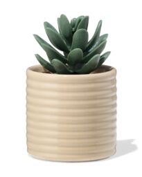 051 Bloempot ⌀7x6.6cm Keramiek Ribbels Beige (beige)