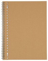 HEMA Collegeblok A4 Geruit 10x10mm Kraft