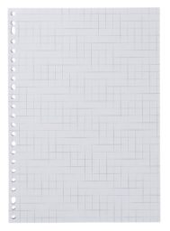 HEMA Ringbandpapier Geruit 10x10mm - 100 Stuks