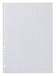 HEMA Ringbandpapier Geruit 10x10mm - 100 Stuks