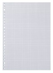 HEMA Ringbandpapier Geruit 5x5mm - 100 Stuks