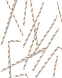 HEMA Papieren Rietjes Goud - 20 Stuks