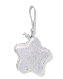 HEMA HEMA Etui 15.5x3x15cm Ster (zilver)