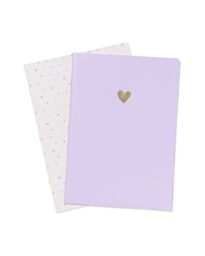 HEMA Schriften A4 Ruiten 10x10mm Hartjes - 2 Stuks