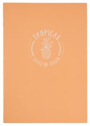 HEMA HEMA Schriften A4 Gelinieerd - 2 Stuks