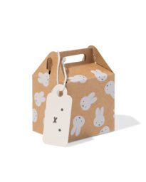 HEMA Cadeau Vouwdoosjes Karton 5x5x5 Bladeren - 6 Stuks