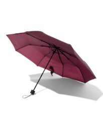 HEMA HEMA Meeneemparaplu Bordeaux