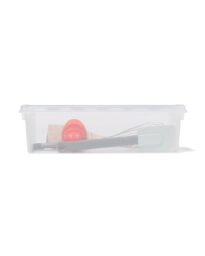 HEMA Opbergbox Madrid Transparant 3,5L