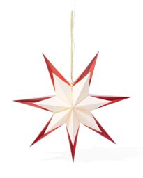 HEMA HEMA Papieren Ster LED Goud (goud)