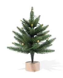 HEMA HEMA Mini Kerstboompje Met Ledlichtjes (groen)