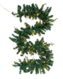 HEMA HEMA Kerstslinger 270cm (groen)