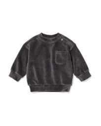 HEMA HEMA Babysweater Velours Rib Grijs (grijs)