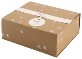HEMA Cadeaudoos 19.5x16x7 Craft