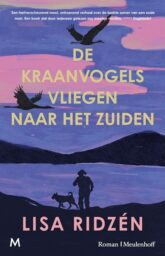 De kraanvogels vliegen naar het zuiden