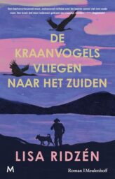 De kraanvogels vliegen naar het zuiden