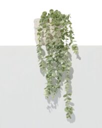 HEMA Kunstplant Eucalyptus (groen)