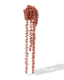 HEMA Kunst Erwtenplant Terra (terra)