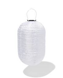 HEMA Solar Tuinlampion Langwerpig (wit)