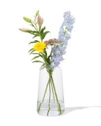 HEMA HEMA Vaas 30cm Glas (transparant)