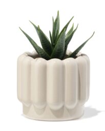 HEMA HEMA Bloempot ⌀7x6cm Keramiek Ribbel Grijs (grijs)