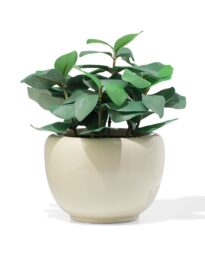 HEMA HEMA Bloempot ⌀12x14cm Keramiek Grijs (grijs)