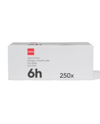 HEMA HEMA Sfeerlichten 6 Branduren Ø4cm - 250 Stuks