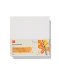HEMA Canvasdoeken 280gsm 20x20 - 3 Stuks