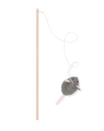 HEMA Hengel Voor Katten Met Kattenkruid