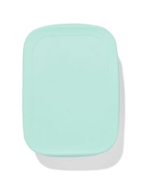HEMA Lunchbox 18.9x14.3x5.8cm Rvs Lichtblauw