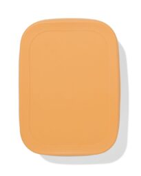 HEMA Lunchbox 18.9x14.3x5.8cm Rvs Bruin