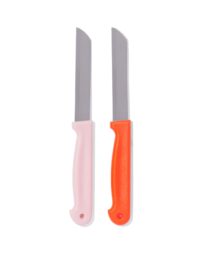 HEMA HEMA Tomatenmesjes Rvs - 2 Stuks