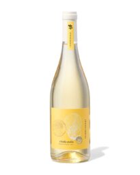 HEMA Terre Di Rai Ribolla Gialla 0.75L