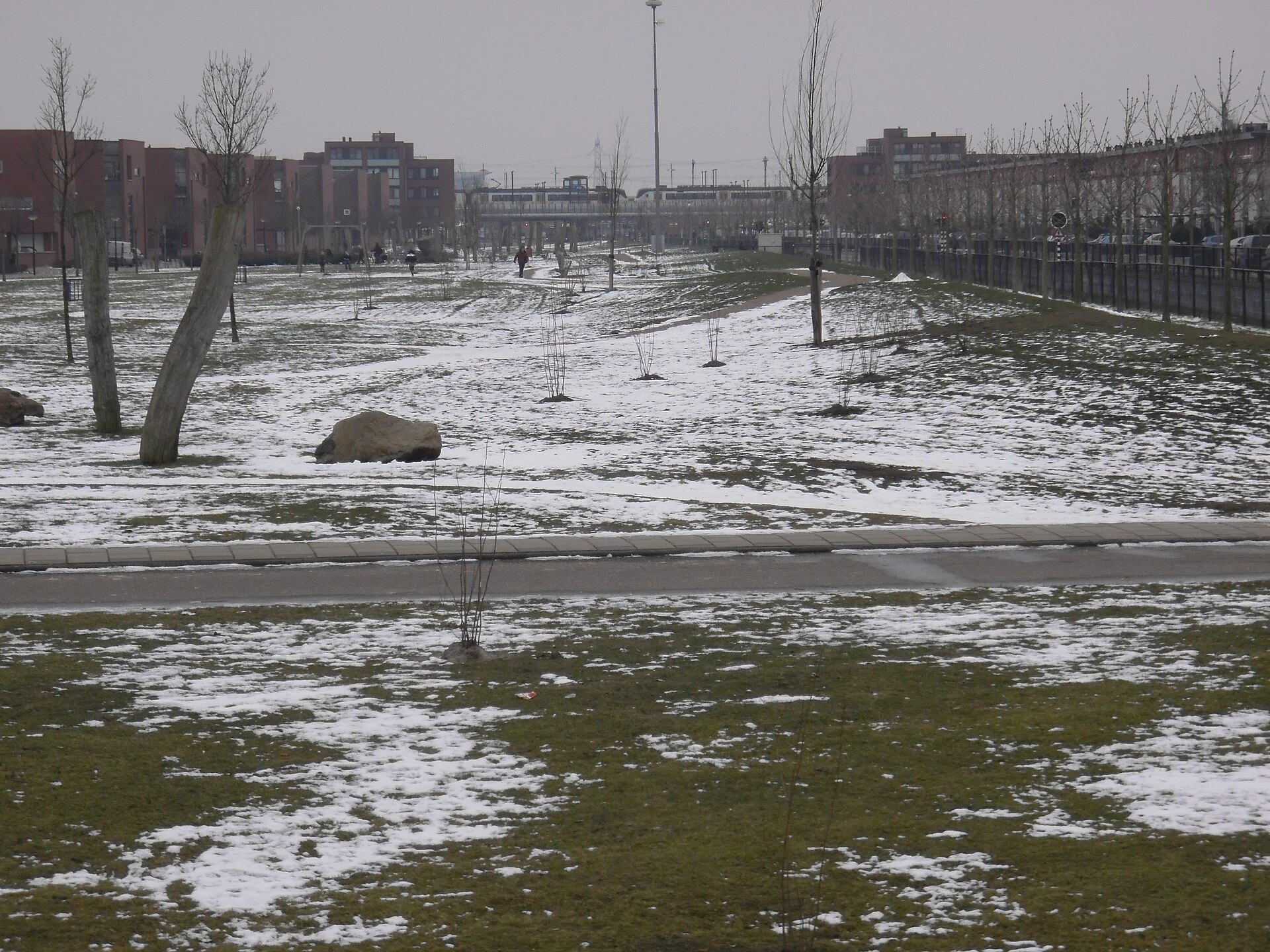 Almere — Bevrozen polder met jonge bomen en sneeuw