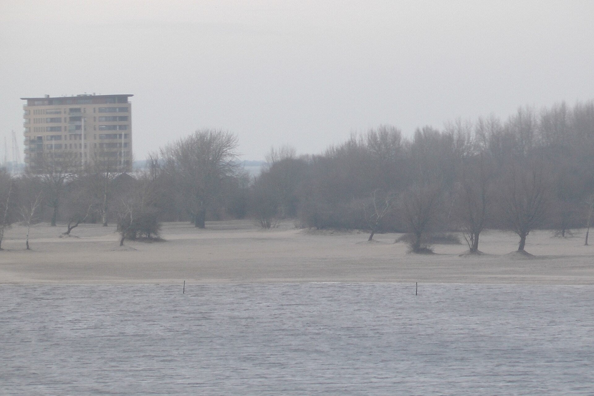 Almere — Bevroren wateroppervlak met bomen en gebouwen