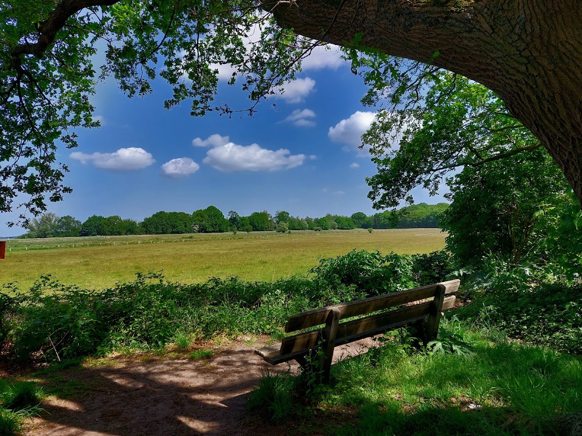 Naarden — Landelijk uitzicht met weiland en bomen