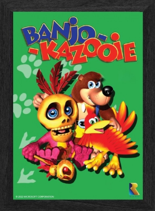 Pixel Frames Plax - Banjo-Kazooie (30cm x 25cm)