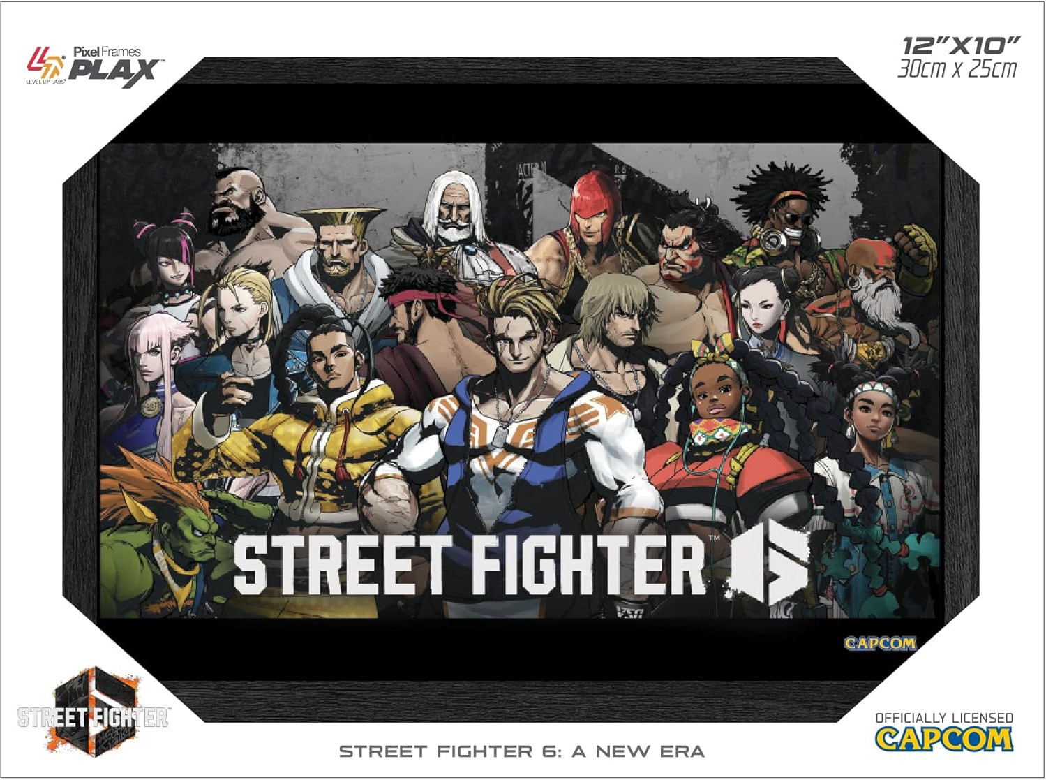 Pixel Frames Plax - Street Fighter 6: A New Era (30cm x 25cm)